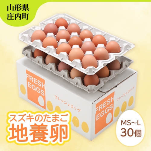 スズキのたまご 地養卵 MS~L 30個 984844 - 山形県庄内町