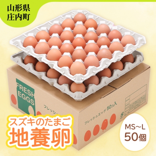スズキのたまご 地養卵 MS~L 50個 984846 - 山形県庄内町