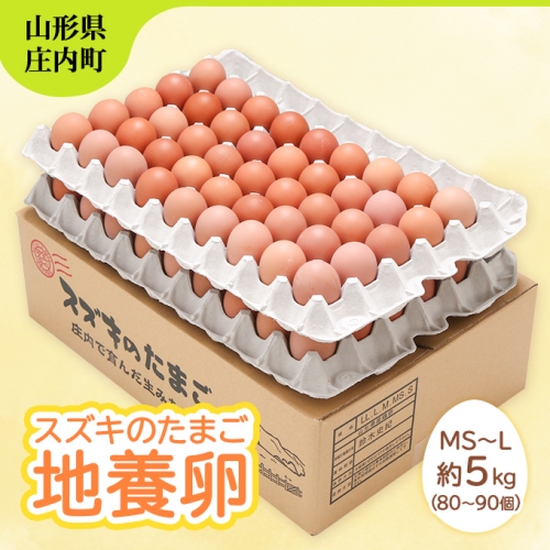スズキのたまご 地養卵 MS~L 約5kg(80~90個) 984848 - 山形県庄内町