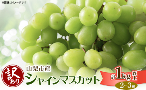 ＜訳あり＞山梨市産シャインマスカット2～3房(1kg以上)【1427896】