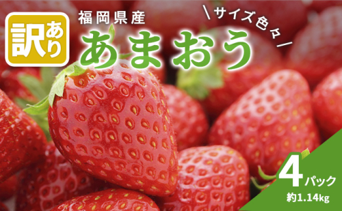 【朝倉市制施行20周年記念企画】 訳あり いちご 2026年3月中旬より発送 あまおう サイズ色々 4パック 約1.14kg 配送不可 離島 果物 フルーツ 福岡県産あまおう  1003808 - 福岡県朝倉市