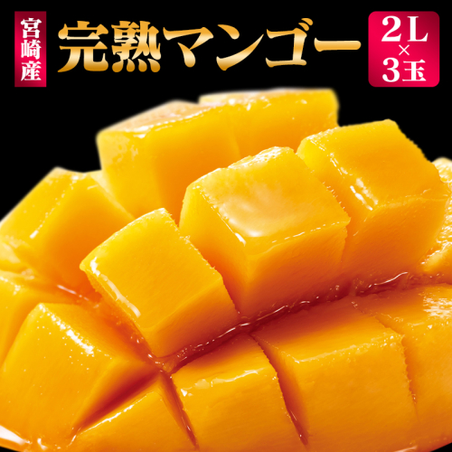 ＜先行予約＞ 完熟マンゴー 2Lサイズ 3玉 南国宮崎からお届け!! フルーツ 果物 人気 贈答品【C246-26】 100442 - 宮崎県新富町
