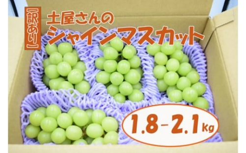 【訳あり】【数量限定】土屋さんのシャインマスカット（４～５房程度・２ｋｇ～２．２ｋｇ）　訳あり 訳アリ シャイン マスカット フルーツ 果物 くだもの やまなし 山梨 ぶどう ブドウ 葡萄 規格外 産地直送
