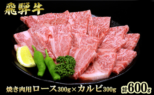 ふるさと納税　飛騨牛 ロース＆カルビ 焼肉 セット  計600g A5 和牛 牛肉 お肉 ロース カルビ 食べ比べ 焼肉用 バーベキュー BBQ  1005839 - 岐阜県池田町