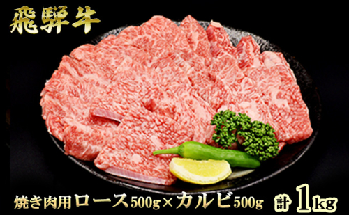ふるさと納税　飛騨牛 ロース＆カルビ 焼肉 セット  計1kg A5 和牛 牛肉 お肉 ロース カルビ 食べ比べ 焼肉用 バーベキュー BBQ  1005841 - 岐阜県池田町