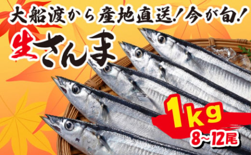 さんま 約1kg 8尾～12尾 冷蔵 鮮秋刀魚 [発送:2025年9月～2025年11月下旬] 三陸 岩手 大船渡市 サンマ 秋刀魚 生