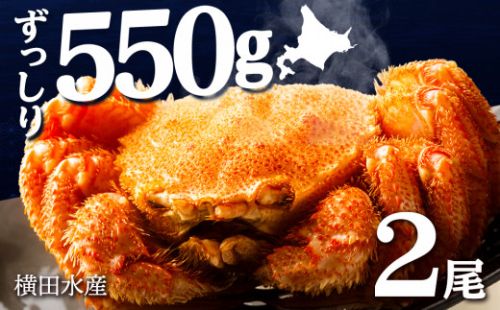 ☆北海道産 毛ガニ 約550g×2尾 セット かに 蟹 毛蟹 冷凍 北海道産 浜頓別町