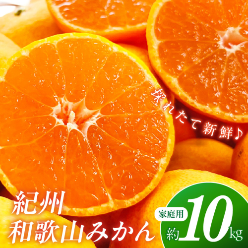 【産地直送】ご家庭用紀州和歌山みかん 約10kg《先行予約》 1010439 - 和歌山県御坊市