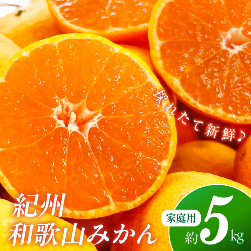 【産地直送】ご家庭用紀州和歌山みかん 約5kg《先行予約》 1010441 - 和歌山県御坊市