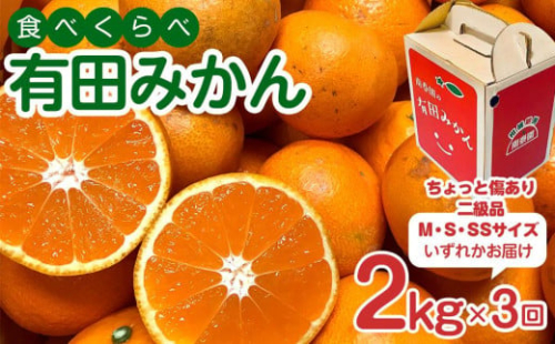 定期便 ちょっと 傷あり 2kg × 3回 コース 有田みかん 食べくらべ 3種 全3回 南泰園 みかん 1012864 - 和歌山県有田川町