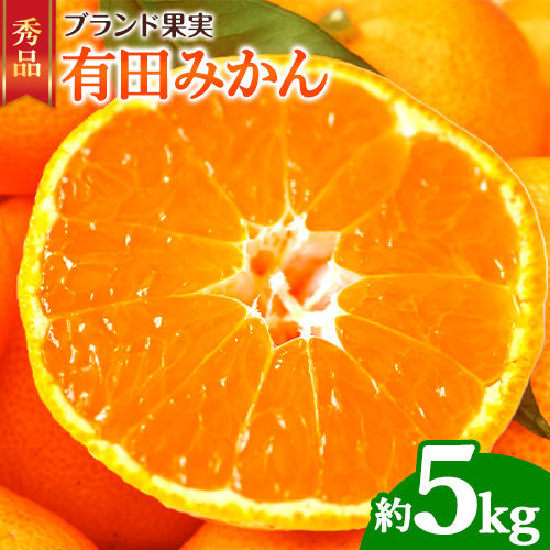 【先行予約】有田みかん 秀品 5kg(サイズおまかせ)とち亀物産 紀伊国屋文左衛門本舗《10月中旬-1月中旬頃出荷予定》和歌山県 日高町 有田みかん みかん 果物 フルーツ ブランド果実 1013290 - 和歌山県日高町