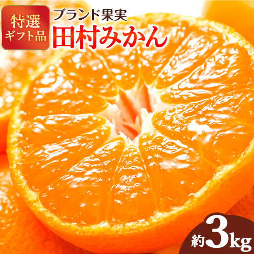 【先行予約】みかん 田村みかん 特選ギフト品 赤秀 3kg(サイズおまかせ)とち亀物産 紀伊国屋文左衛門本舗《2025年11月下旬-1月中旬頃出荷予定》和歌山県 日高町 田村みかん 有田みかん みかん 果物 フルーツ ブランド果実 1013293 - 和歌山県日高町