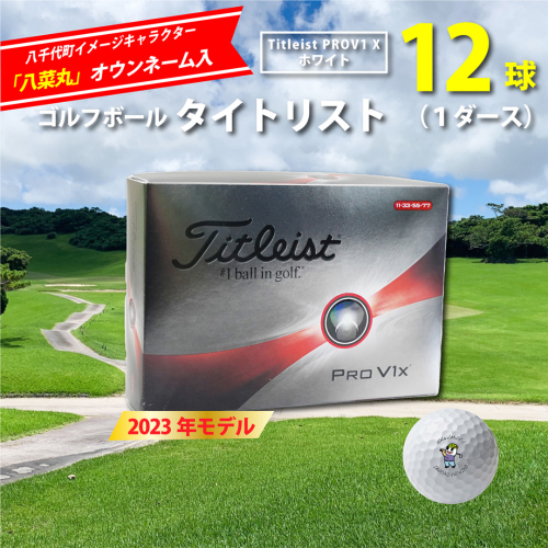 【 2023年9月30日まで 】 ゴルフボール タイトリスト PROV1X ホワイト 1ダース ( 12球 ) 八菜丸 プロV1 Titleist ゴルフ ボール 期間限定 スポーツ [BW009ya] 1013780 - 茨城県八千代町