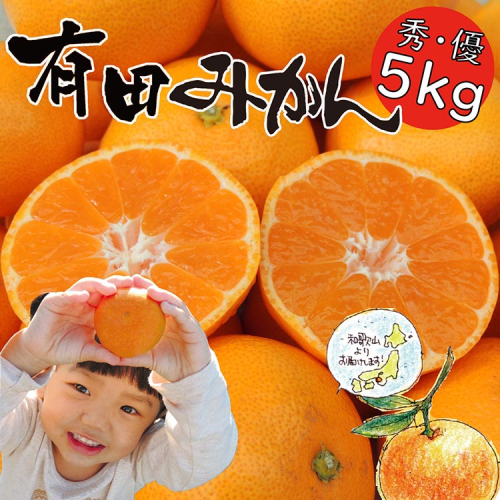 はじめまして 有田みかん（和歌山県産）お試し5kg【数量限定】/ORYY推奨 ※2025年11月上旬～12月下旬頃に順次発送予定 1015289 - 和歌山県美浜町