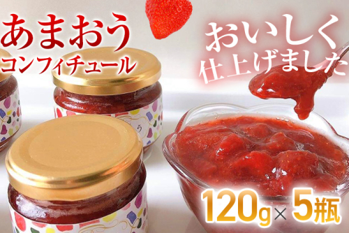 あまおうコンフィチュール120ｇ×5瓶　BD12 1016197 - 福岡県大木町