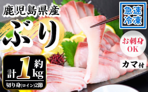 ＜先行予約＞鹿児島県産 養殖 ぶり （ハマチ）の切り身「ロイン2節・カマ1個付」合計約1kg！ ハマチ 出世魚 ぶり 急速冷凍 刺身 漬け ぶりしゃぶ にもおすすめ！【A-1955H】