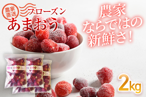 フローズンあまおう2kg(500g×4袋)　BD11 1017919 - 福岡県大木町
