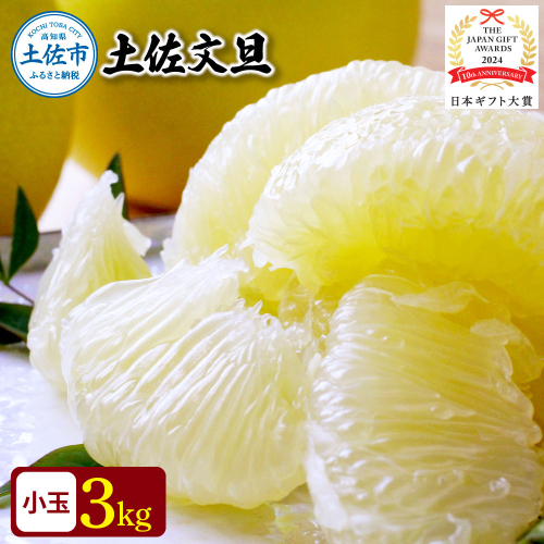 【日本ギフト大賞2024受賞】【先行予約】文旦 小玉3kg（L～M）2026年1月下旬より順次発送 土佐文旦 みかん 柑橘 ぶんたん ブンタン 果物 フルーツ お取り寄せ おいしい 家庭用 贈答用 土佐市 高知 ふるさと納税 春 旬 返礼品 高知県 高知 6000円 1020219 - 高知県土佐市