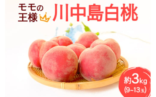 《先行受付！8月下旬より順次発送》モモの王様 川中島白桃 約3kg（9～13玉前後）