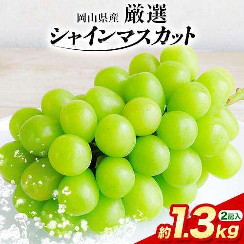 【2025年先行予約】厳選 訳あり シャインマスカット 約 1.3kg 2房《9月中旬11月上旬出荷》シャインマスカット ぶどう フルーツ 果物 シャイン マスカット 葡萄 ブドウ 1024697 - 岡山県浅口市