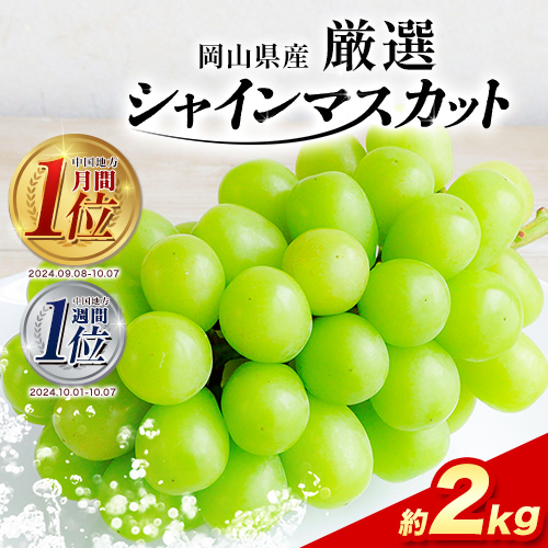 【2025年先行予約】厳選 訳あり シャインマスカット 約 2kg 3～5房《9月中旬-11月上旬頃出荷》岡山県 浅口市 シャインマスカット ぶどう フルーツ 果物 贈り物 ギフト 国産 岡山県産 送料無料 シャイン マスカット マスカットシャイン ブドウ 葡萄 1024711 - 岡山県浅口市