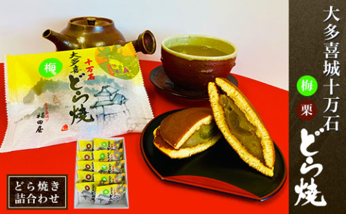 W01101 大多喜城十万石どら焼き詰合せ「栗どら焼き」「梅どら焼き」  1024986 - 千葉県大多喜町