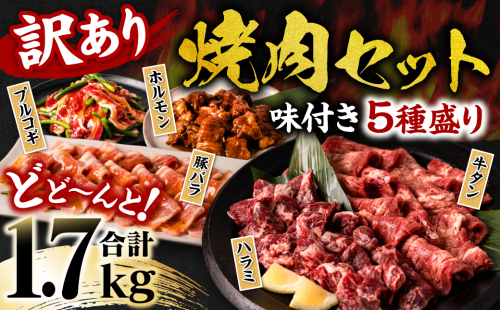 【訳あり】 焼肉セット 5種盛り 計1.7kg 牛肉 タン ハラミ みそ ホルモン プルコギ 豚バラ 豚肉 カルビ 肉 味付き おかず 焼き肉 炒め物 お惣菜 おつまみ バーベキュー 1025293 - 熊本県八代市