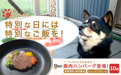 鹿肉ドッグフード　鹿肉ハンバーグ（犬用）　10個（約50g×10個） 加工食品 お肉 家族 健康 食事 大切 ペット 自然 新鮮 動物 高品質 安心 安全 国産 子犬 老犬 栄養 小分け  1025773 - 福井県若狭町