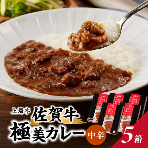 佐賀牛極美カレー（中辛）【200ｇ×5箱】 102579 - 佐賀県玄海町