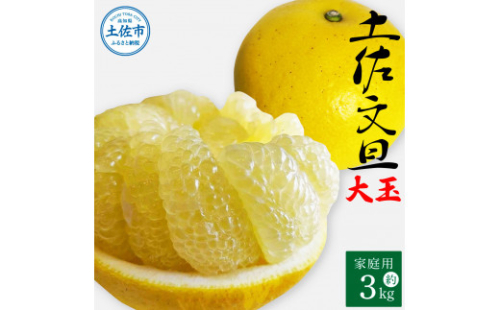 土佐文旦 家庭用 約3キロ(2L - ４Lサイズ：6玉前後) 大玉 先行予約 数量限定 文旦 ぶんたん ブンタン 土佐文旦 柑橘 フルーツ 果物 ご当地 お取り寄せ 土佐 高知 1027591 - 高知県土佐市