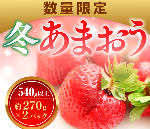 【期間限定発送】 いちご あまおう 冬あまおう 270g以上 2p 計540g以上 [ストロベリーファーム 福岡県 宇美町 um40azp070002] イチゴ 苺 フルーツ 果実 甘い 小分け 1033438 - 福岡県宇美町