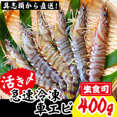 【訳アリ】活き〆急速冷凍車エビ（生食可・約400g）【先行受付】- 2025年8月より順次発送 海老 車えび 車海老 冷凍 生エビ 国産 養殖 えび天 エビフライ 塩焼き 人気 沖縄県 八重瀬町 103403 - 沖縄県八重瀬町
