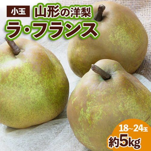 山形の洋梨 ラフランス 優品 約5kg (小玉2L～M/18～24玉) FZ23-652 1034073 - 山形県山形市