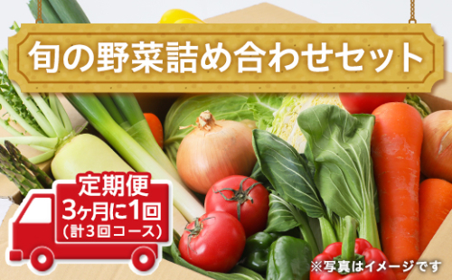 田舎の頑固おやじ厳選！【定期便】旬の野菜詰め合わせセット3ヶ月に1回(計3回コース) [BI02-NT] 103413 - 茨城県つくばみらい市