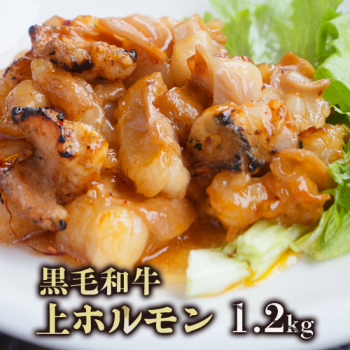 黒毛和牛 ホルモン 1.2kg 旨辛タレ トロホルモン 上ホルモン 国産ホルモン 牛肉 焼き肉 BBQ バーベキュー 味付け肉 熨斗 ギフト プレゼント 贈答 お歳暮 御歳暮 御中元 お中元 夏ギフト お祝い 103606 - 京都府舞鶴市