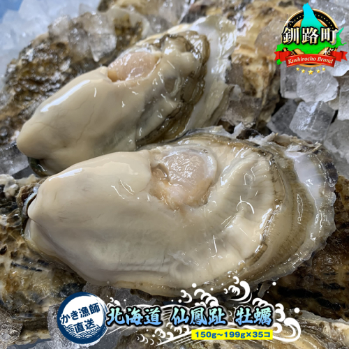 北海道 仙鳳趾名産 牡蠣 150g～199g×35コ＋かきナイフ付き かき漁師直送 K1-8＜出荷時期：2025年10月以降 順次出荷＞＜センポウシ : 釧路町の東 厚岸湾の西 カキの名産地＞ | せんぽうし 牡蠣 生食用 殻付き 牡蠣 絶品 産地直送 北海道 釧路町 釧路超 特産品 1037953 - 北海道釧路町
