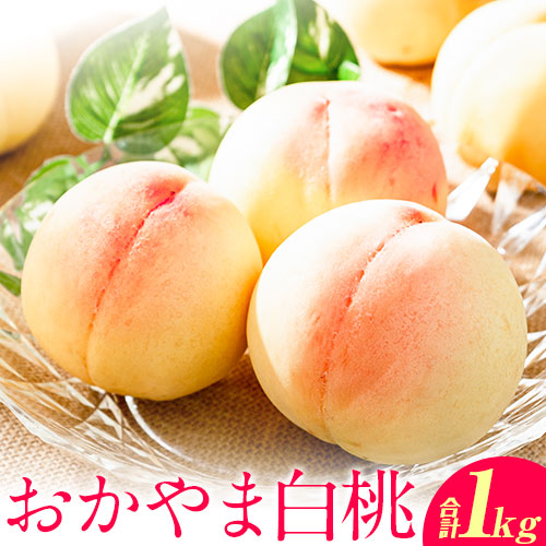 【令和7年度受付分 先行予約】おかやま白桃 もも 1kg 3～5玉前後 岡山県産 ご家庭用《2025年6月下旬-9月上旬頃出荷》岡山県 浅口市 厳選出荷 白桃 黄桃 白鳳 清水白桃 おかやま夢白桃 川中島白桃 白皇 黄金桃 果物 フルーツ 1038968 - 岡山県浅口市