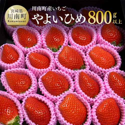 【令和８年発送】宮崎県産いちご（川南町産）　「やよいひめ」計800ｇ 【 先行予約 期間限定 果物 イチゴ 苺 フルーツ 】 1044234 - 宮崎県川南町