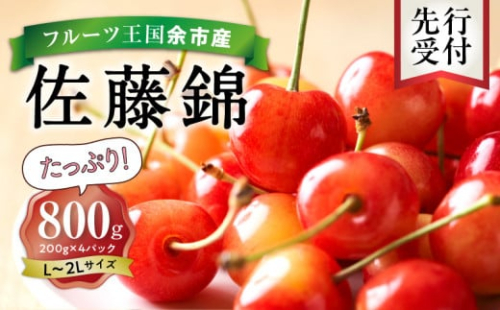 2026年発送【先行予約】令和8年産 佐藤錦【L～2Lバラ詰め】180g×4【ニトリ観光果樹園】さくらんぼの王様 余市 北海道 フルーツ王国 さくらんぼ サクランボ 桜桃 佐藤錦 余市産さくらんぼ 人気さくらんぼ ニトリ