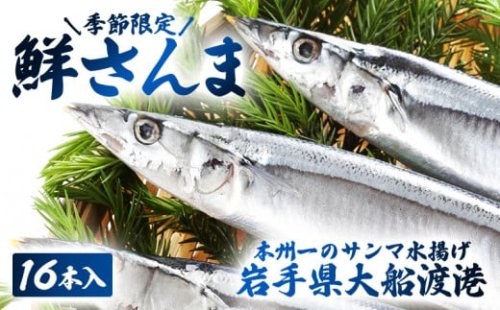 【予約受付中】 岩手大船渡産 鮮さんま 16本入 さかな おさかな 魚 鮮魚 新鮮 生魚 焼き魚 FISH ごはん 夕飯 おかず おつまみ 晩酌 海産物 海鮮 魚介 魚介類 大船渡 三陸 岩手県 国産
