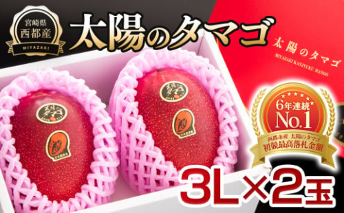 最高級ブランド『太陽のタマゴ』3L×2個【糖度15度以上】宮崎県西都市産完熟マンゴー＜2.8-2＞【先行予約】