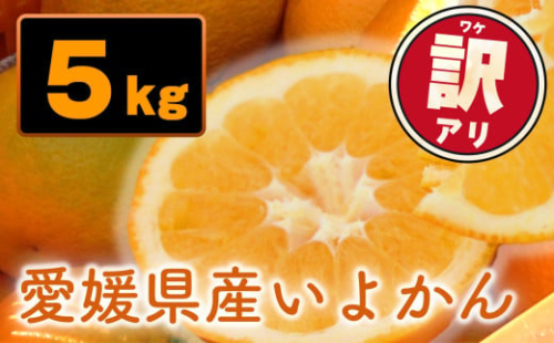 【先行予約】訳あり 愛媛県産 宮内いよかん 5kg | 【1月上旬～2月下旬発送】 宮内伊予柑 いよかん 蜜柑 伊予柑 わけあり 家庭用 柑橘 みかん ミカン mikan フルーツ 果物 かんきつ くだもの 甘い 甘み 酸味 ジューシー 果汁 果肉 秀品 数量限定 期間限定 旬 お取り寄せ グルメ みかん 産地直送 農家直送 国産 愛媛県 松山市