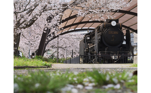 アートパネル　汽車と桜 織物 フォトグラファー 下村綱起 撮影 風景 動物 写真 厳選 作品 フェルト 生地 オリジナル インテリア プレゼント 癒し  1054229 - 奈良県王寺町