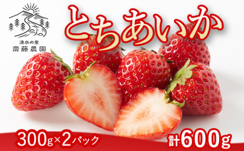 とちあいか（300g×2パック 計600g）風袋入り ｜ 手作り 厳選 農家 特産品 新鮮 フレッシュ ストロベリー 苺 イチゴ 栃木県 塩谷町 ※2025年12月上旬～2026年4月下旬頃に順次発送予定 ※北海道・沖縄・離島への配送不可