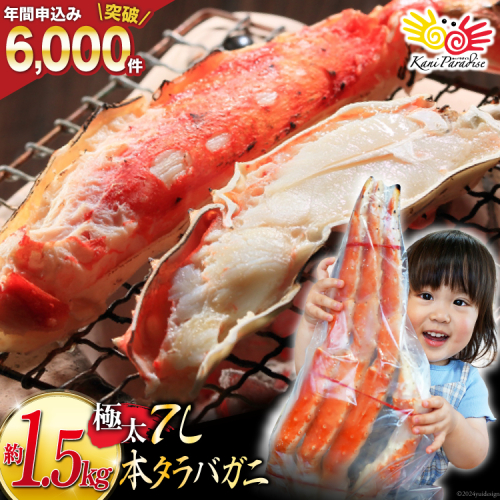 本 タラバガニ 脚 ボイル済 約1.5kg 極太7Lサイズ [カネダイ 宮城県 気仙沼市 20564326] カニ かに 蟹 たらばがに たらば蟹 タラバ蟹 たらば タラバ ボイル  106269 - 宮城県気仙沼市