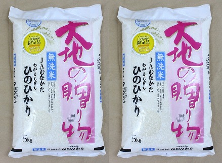 【令和7年産米】【2025年11月より順次発送】JAよりお届け！福岡県ブランド米「元気つくし」10kg（5kg×2袋）[G2311] 106355 - 福岡県福津市
