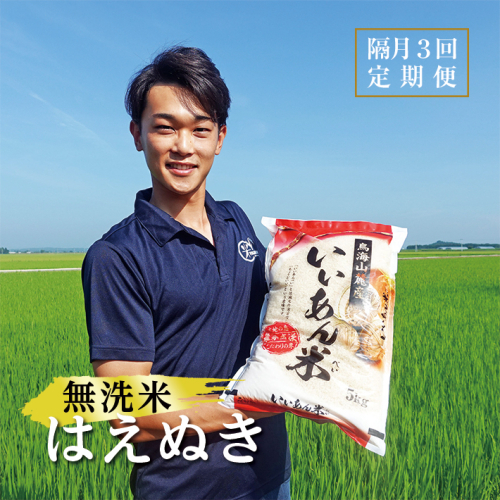 SF0252　【隔月3回定期便】無洗米はえぬき　5kg×3回(計15kg)　農家直送『いいあん米』AG 106385 - 山形県酒田市
