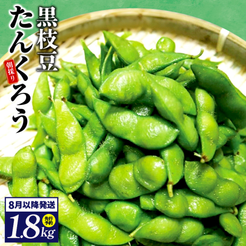 【先行予約】黒枝豆 1.8kg 【新鮮 野菜 泉佐野産 えだまめ やさい TONOファーム 高評価 数量限定 畑から直送 朝採り】 G1102 106472 - 大阪府泉佐野市