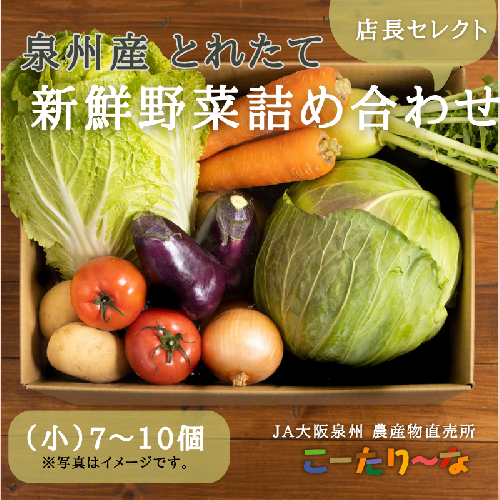 JA大阪泉州 直売所店長セレクト 新鮮野菜セット【7～10個 詰め合わせ 泉佐野産 とれたて 新鮮野菜 やさい 高評価 数量限定】 005A178 107180 - 大阪府泉佐野市