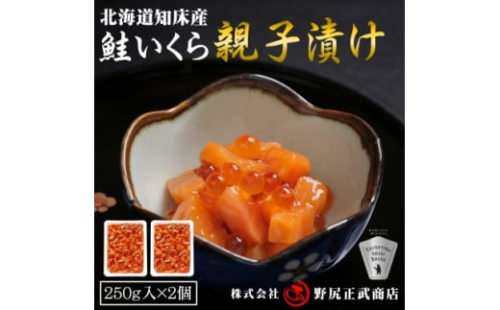 北海道知床産 鮭いくら親子漬け(250g×2)_いくら 北海道 鮭 鮭いくら イクラ 北海道 知床産 さけ サケ ルイベ 親子 漬け 250g×2 海鮮 魚卵 ご飯のお供 海鮮丼 海鮮チラシ 酒の肴 おつまみ 冷凍 斜里町 送料無料【1393112】